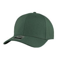 Bottle green